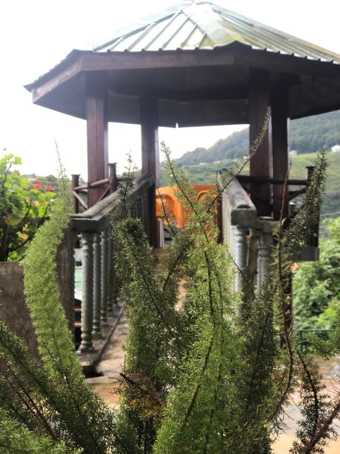 ヌワラ・エリヤ ピジョンズ ネスト Bed & Breakfast エクステリア 写真